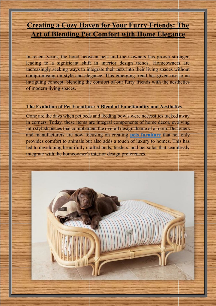 creating a cozy haven for your furry friends