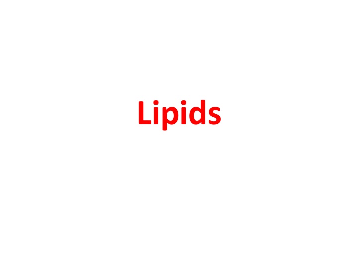 lipids