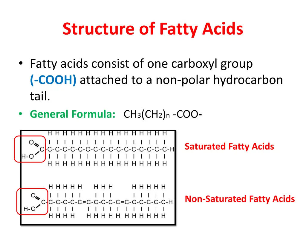 structure of fatty acids