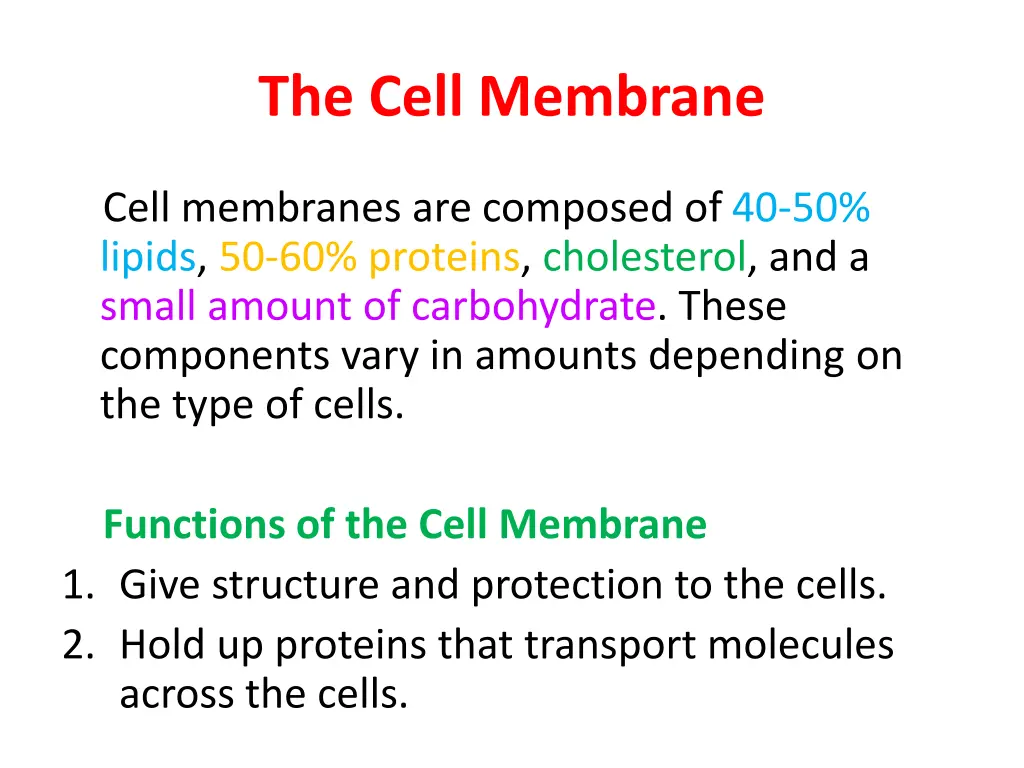 the cell membrane