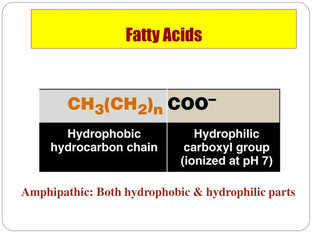 fattyacids