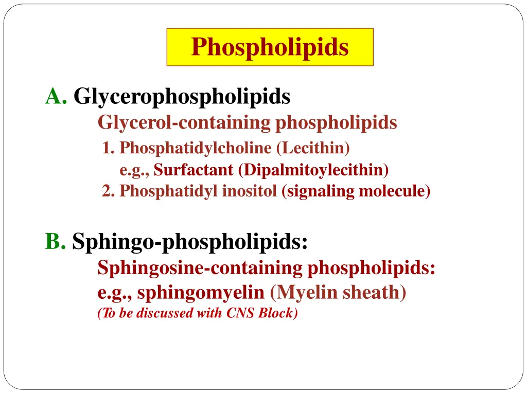 phospholipids