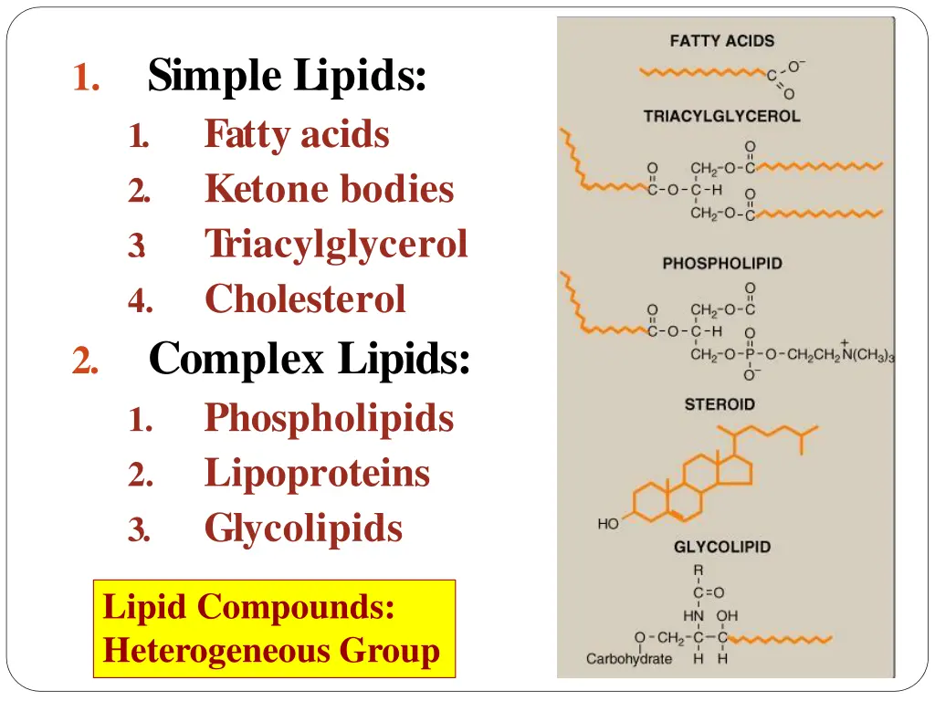 simple lipids 1 fatty acids 2 ketone bodies