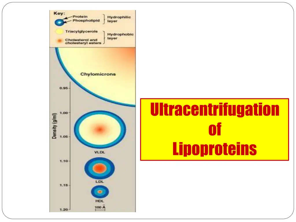 ultracentrifugation of lipoproteins