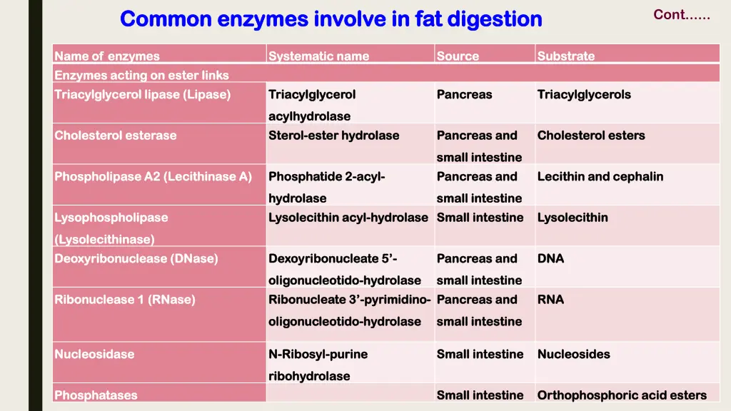 common enzymes involve in fat digestion common