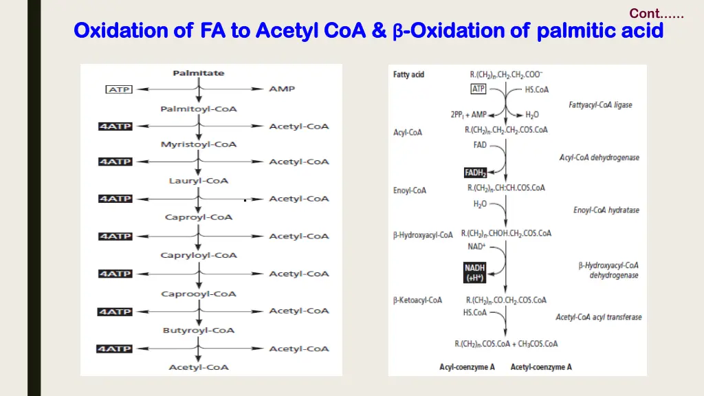 slide11