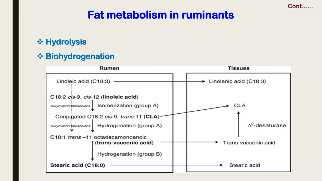 slide18