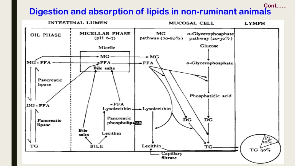 slide7