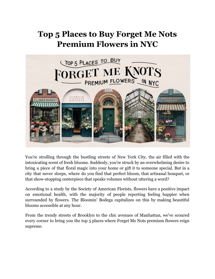 top 5 places to buy forget me nots premium