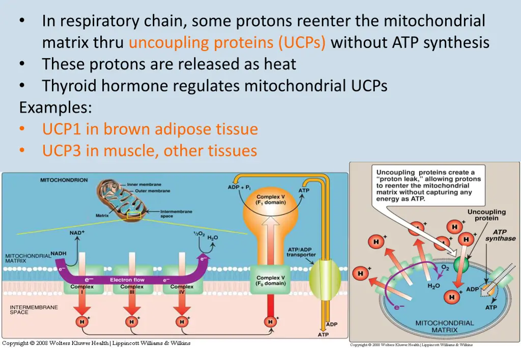 slide28