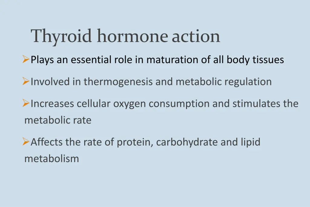 thyroid hormone action