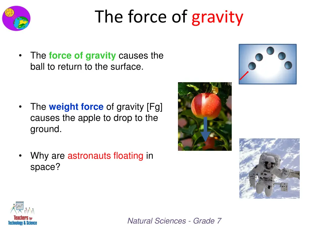 the force of gravity