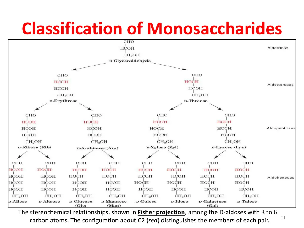 classification of monosaccharides 1