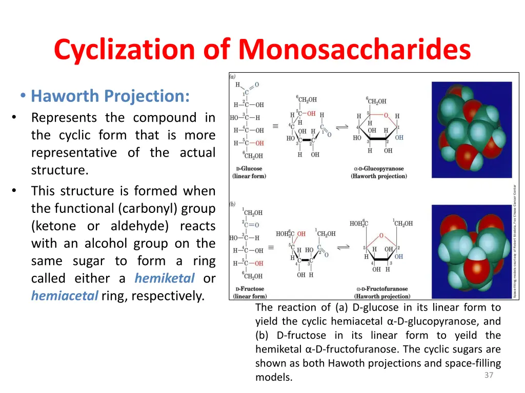 cyclization of monosaccharides