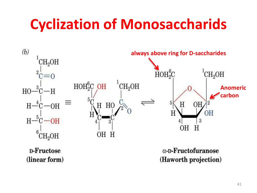 cyclization of monosaccharids 3