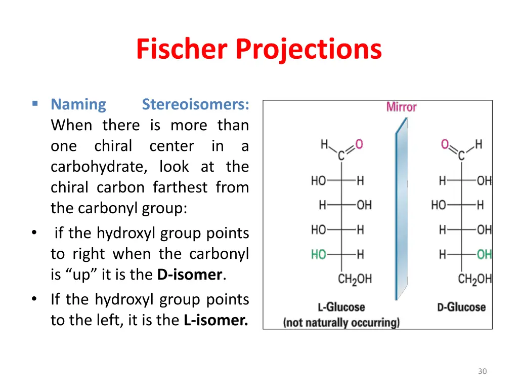 fischer projections 1