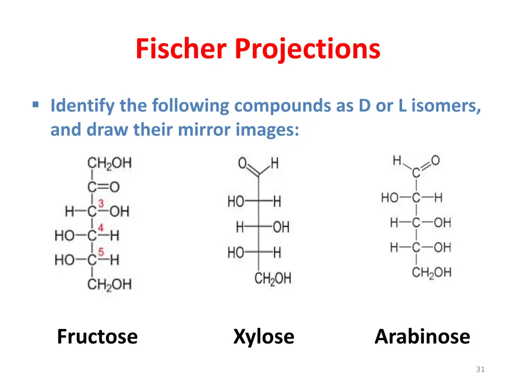 fischer projections 2