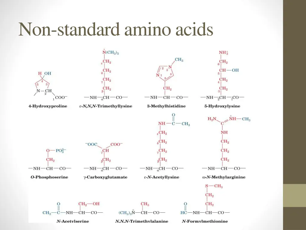 non standard amino acids