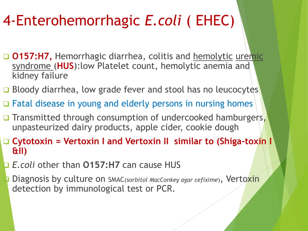 4 enterohemorrhagic e coli ehec