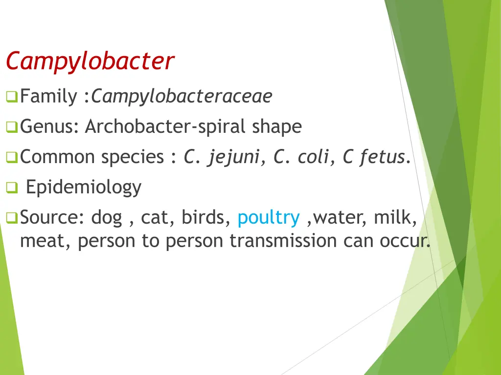 campylobacter