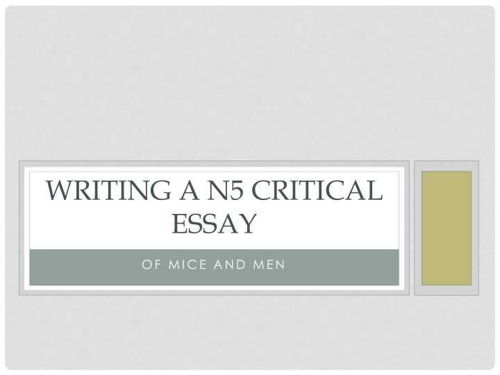 writing a n5 critical essay