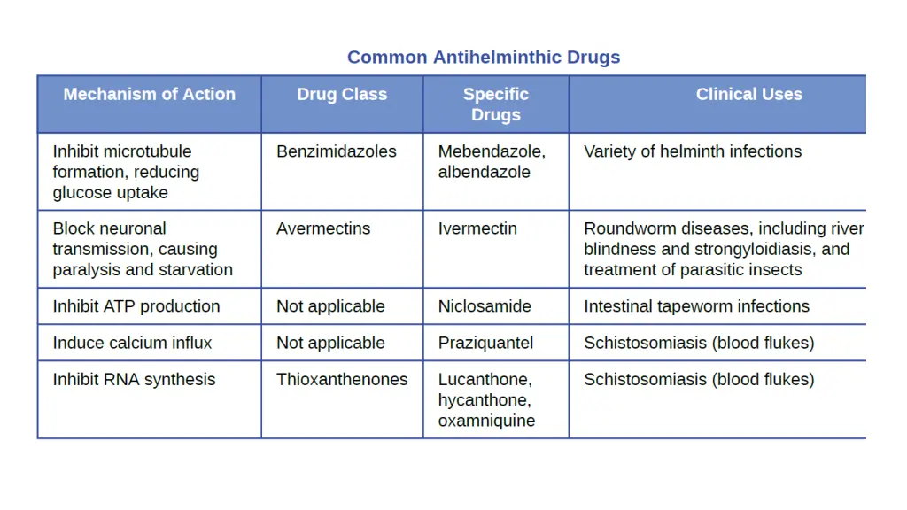 slide13