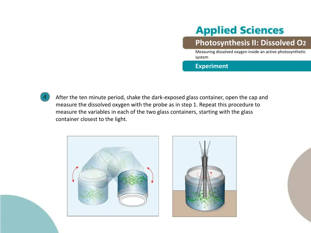 photosynthesis ii dissolved o 2 measuring 12