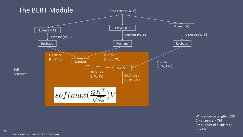 the bert module 1