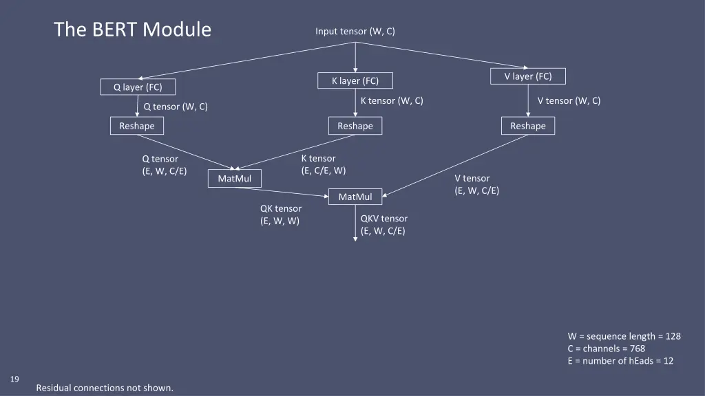 the bert module