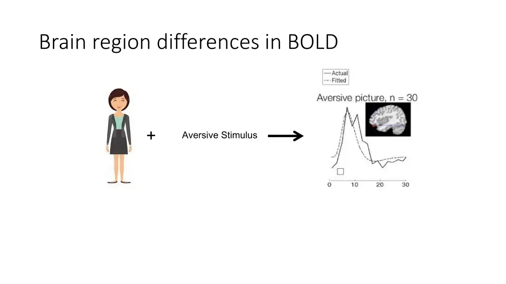 brain region differences in bold 1