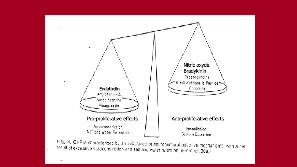 nitric oxyde bradykinin