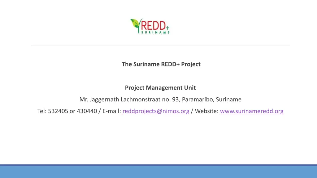 the suriname redd project