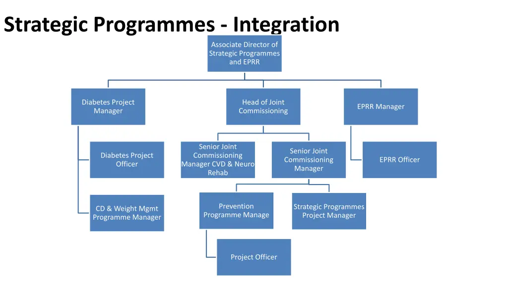 strategic programmes integration