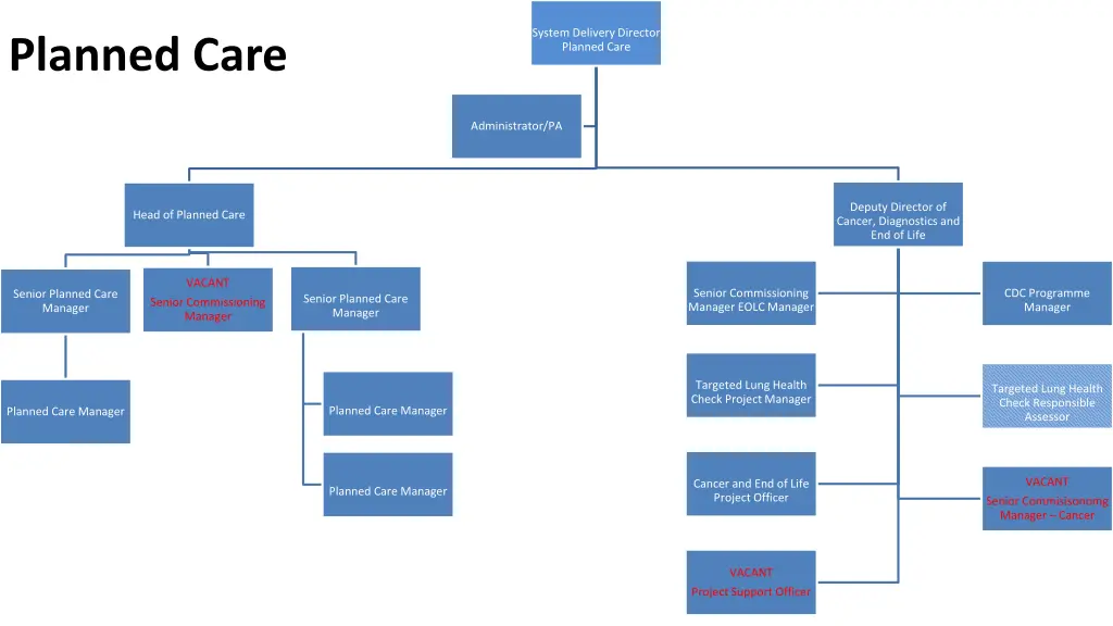 system delivery director planned care