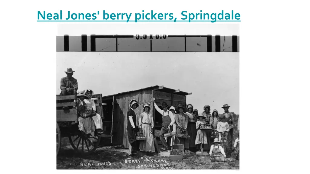 neal jones berry pickers springdale