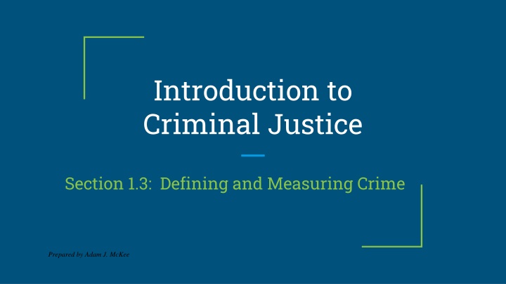 introduction to criminal justice