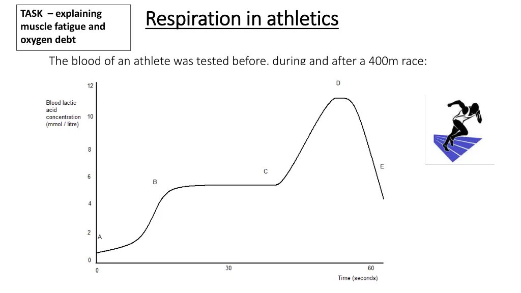 task explaining muscle fatigue and oxygen debt