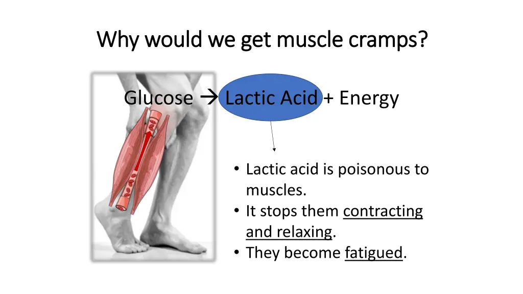 why would we get muscle cramps why would