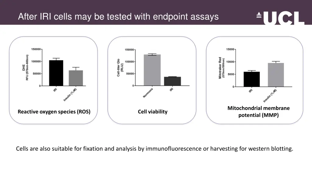 after iri cells may be tested with endpoint assays