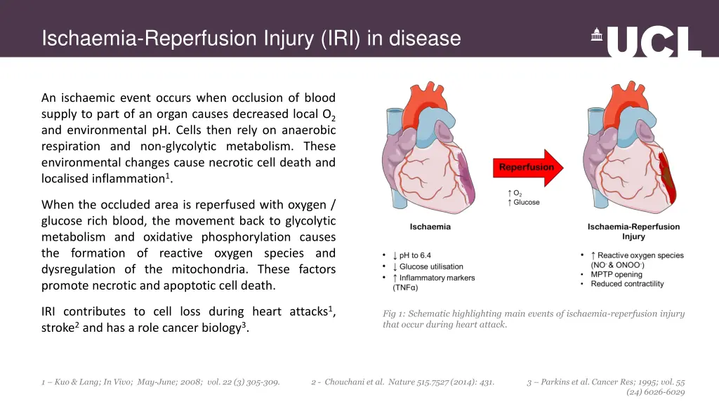 ischaemia reperfusion injury iri in disease