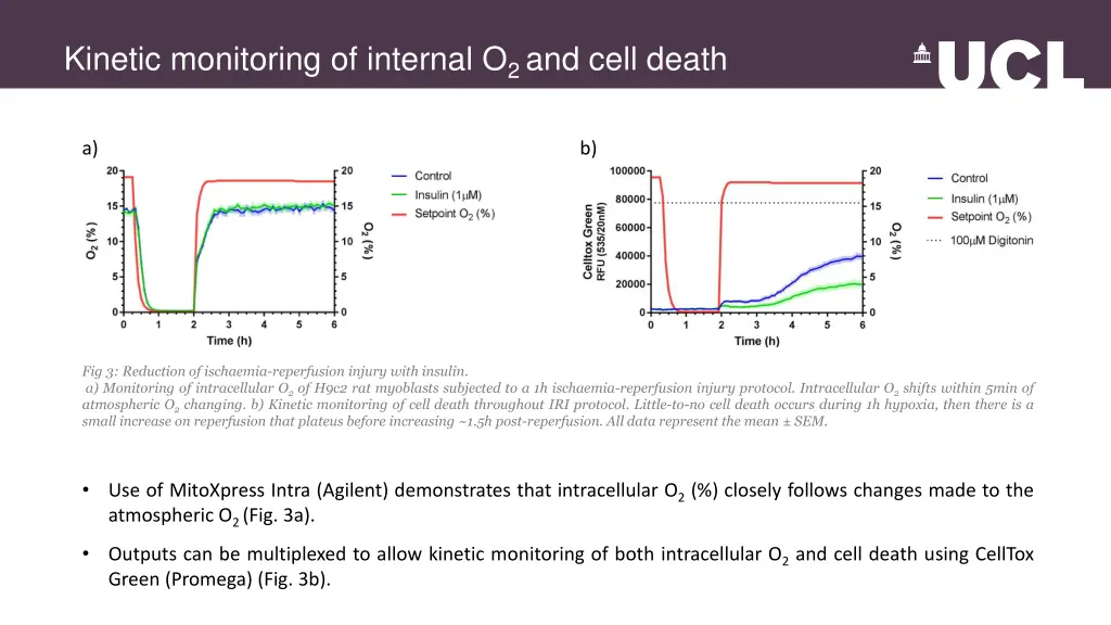 kinetic monitoring of internal o 2 and cell death