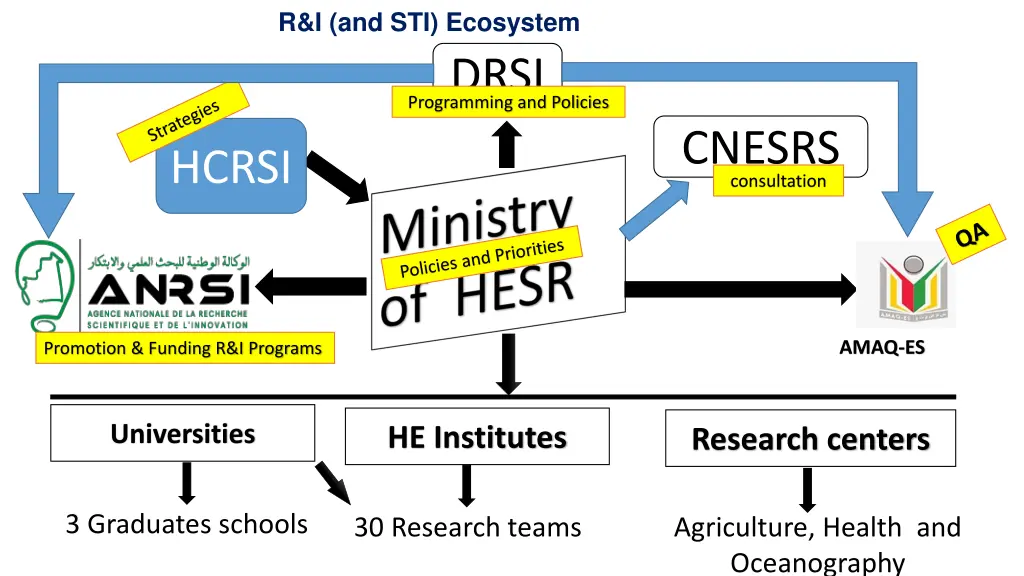 r i and sti ecosystem