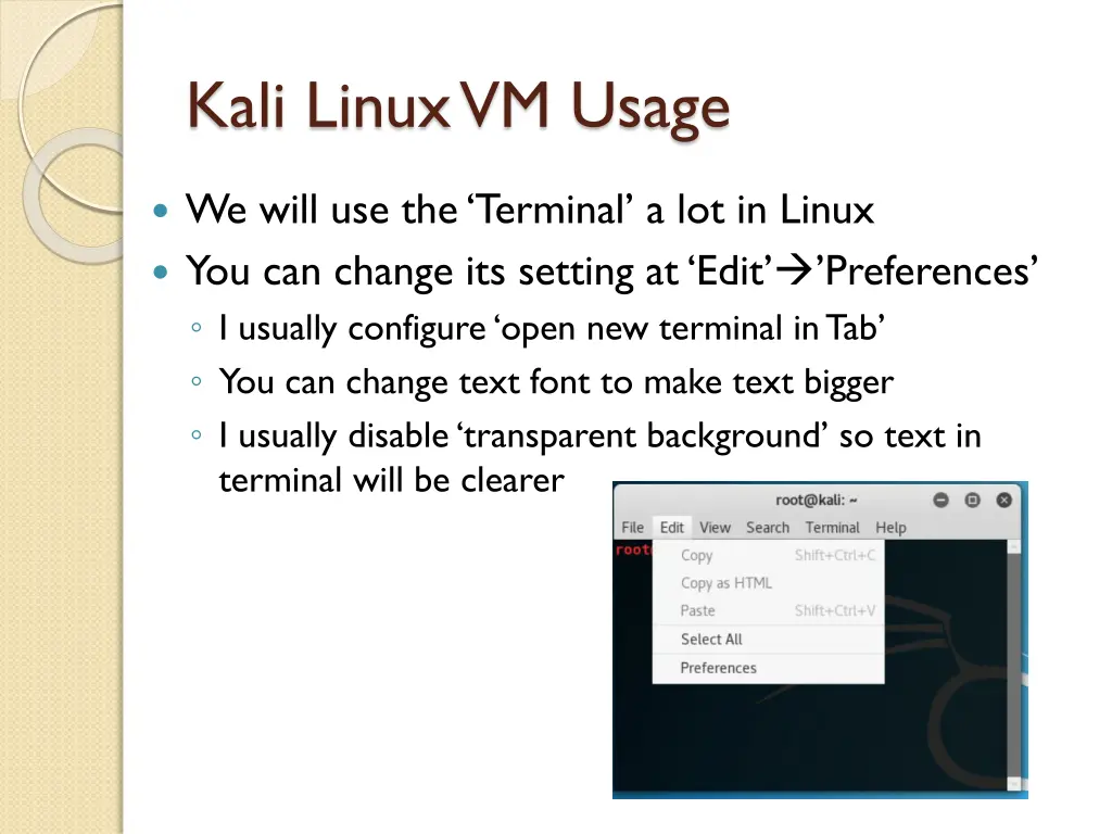 kali linux vm usage 1