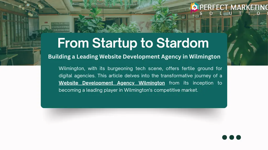 from startup to stardom building a leading