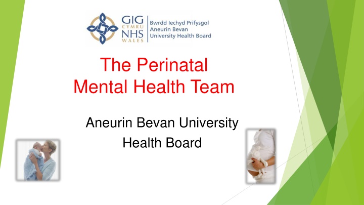 the perinatal mental health team