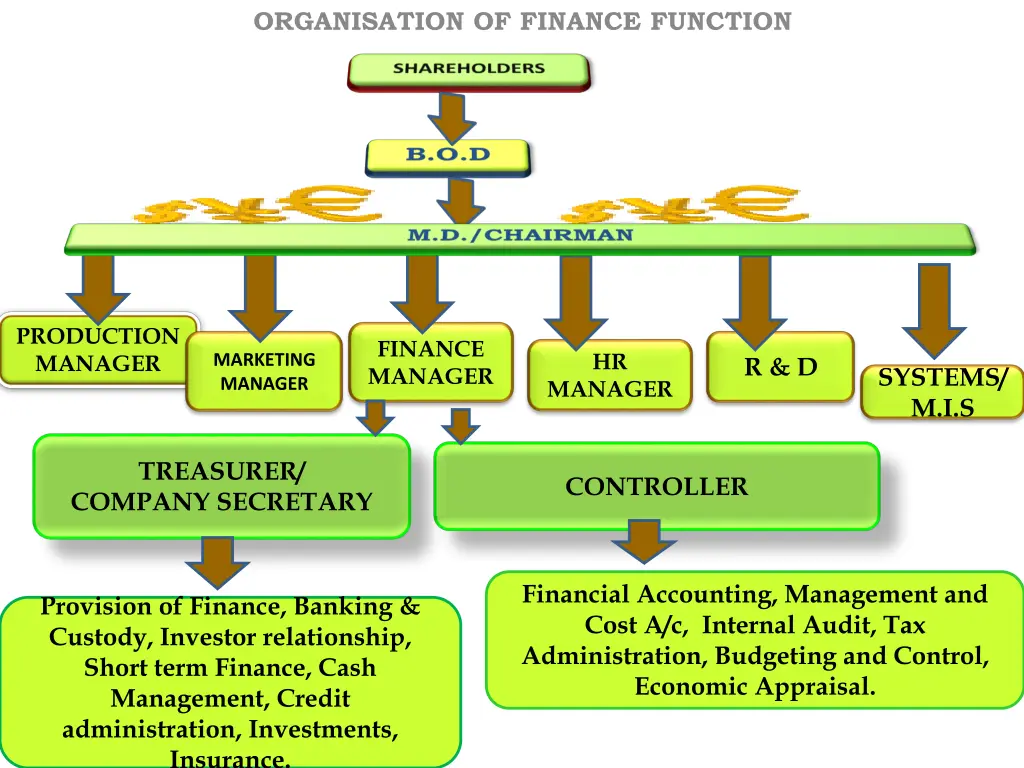 organisation of finance function