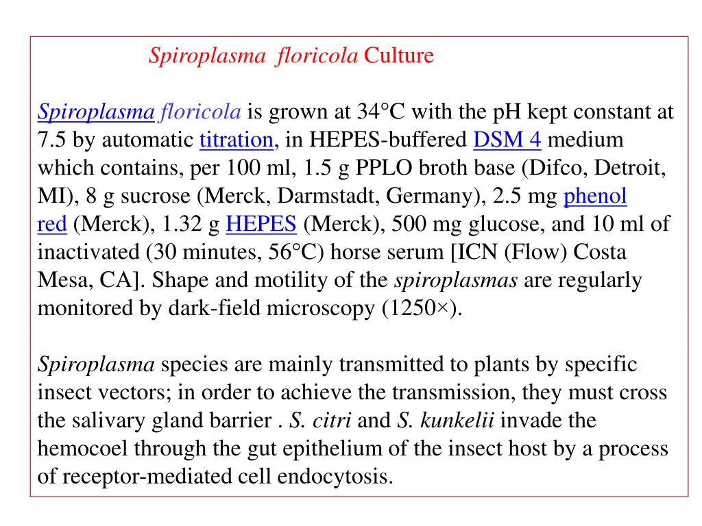 spiroplasma floricola culture