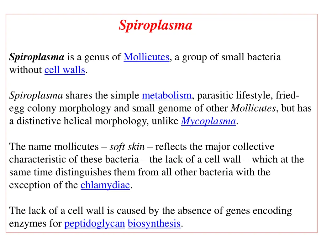 spiroplasma