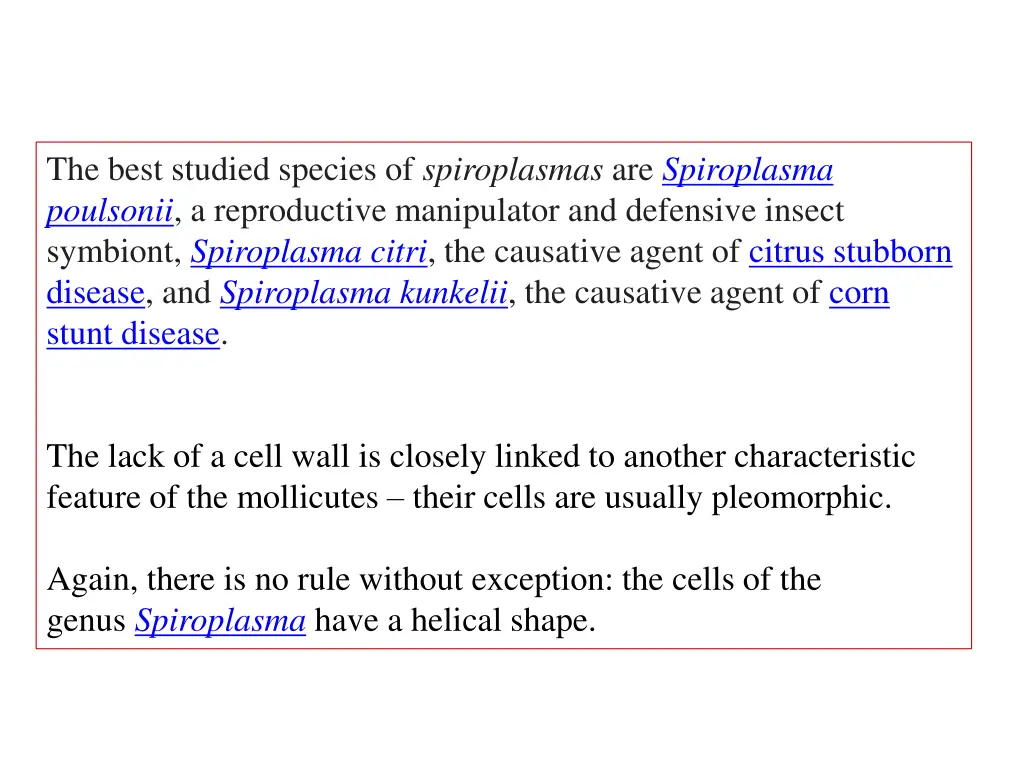 the best studied species of spiroplasmas