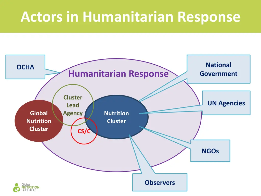 actors in humanitarian response